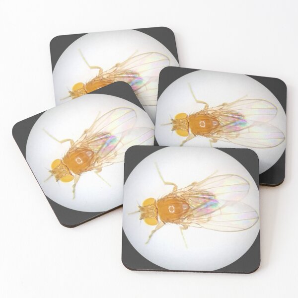 Item preview, Fruit Fly (Robbie) designed and sold by Squid-ink-art.