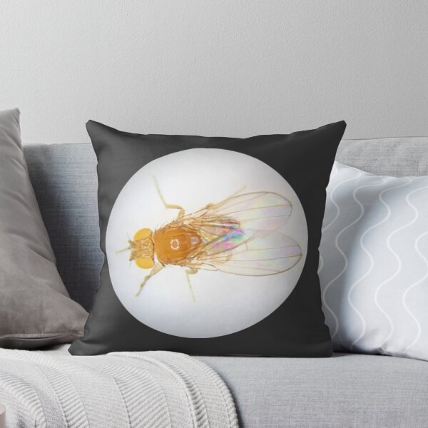Item preview, Fruit Fly (Robbie) designed and sold by Squid-ink-art.