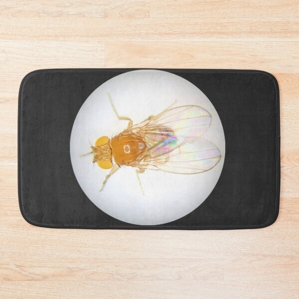 Item preview, Fruit Fly (Robbie) designed and sold by Squid-ink-art.