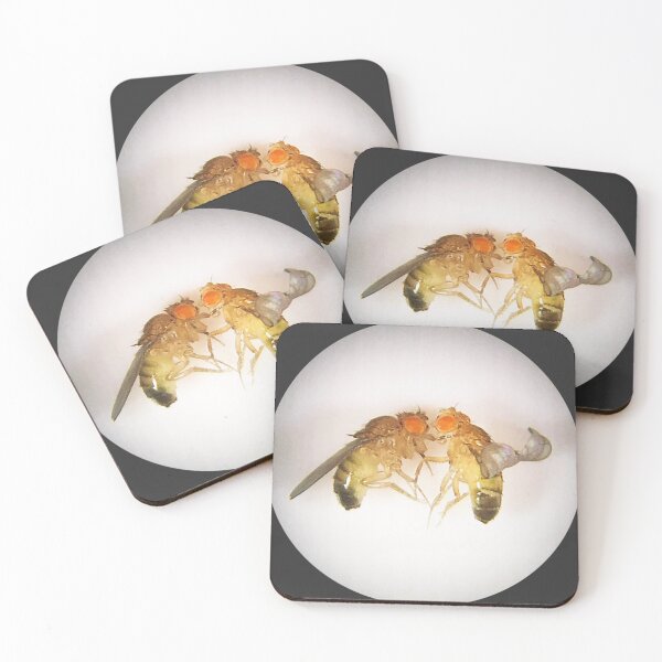 Item preview, Fruit Fly Buddies designed and sold by Squid-ink-art.