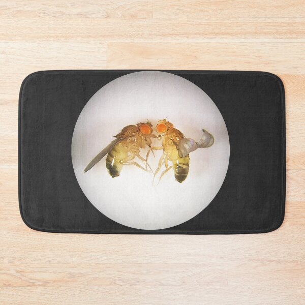 Item preview, Fruit Fly Buddies designed and sold by Squid-ink-art.