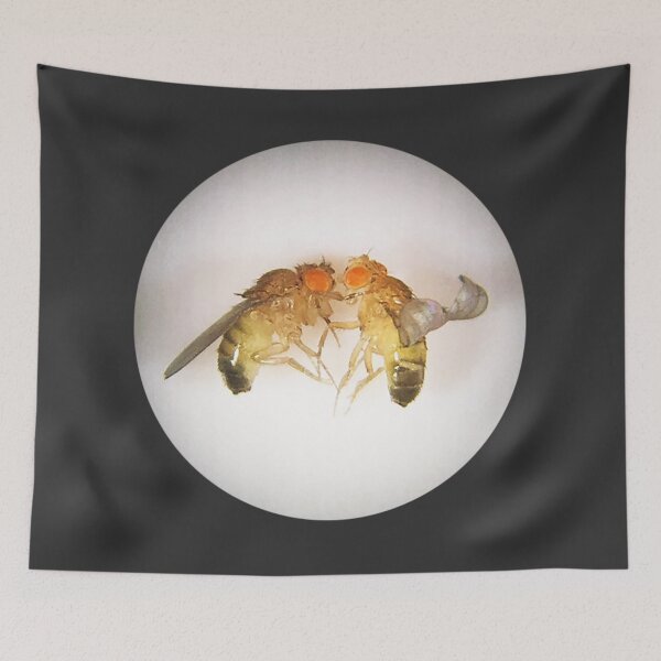 Item preview, Fruit Fly Buddies designed and sold by Squid-ink-art.