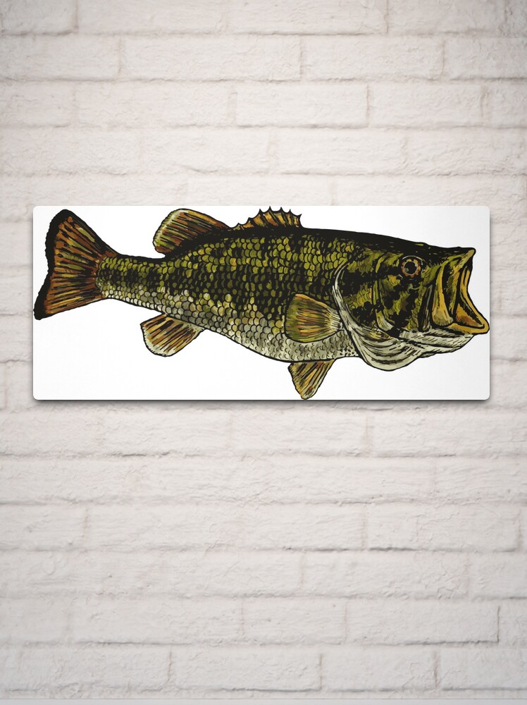 Bass Fish Metal Print for Sale by Kathryn Shaw - Wildflies