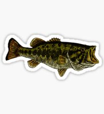 Bass Fish Sticker