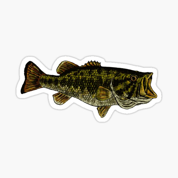 Bass Fish Sticker for Sale by Kathryn Shaw - Wildflies