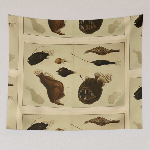 Item preview, Naturalist Anglerfish designed and sold by BlueSpecsStudio.