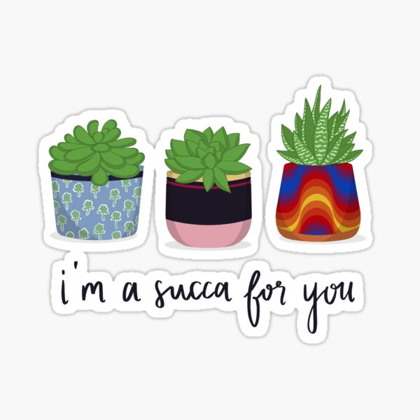 I'm A Succa For You Sticker