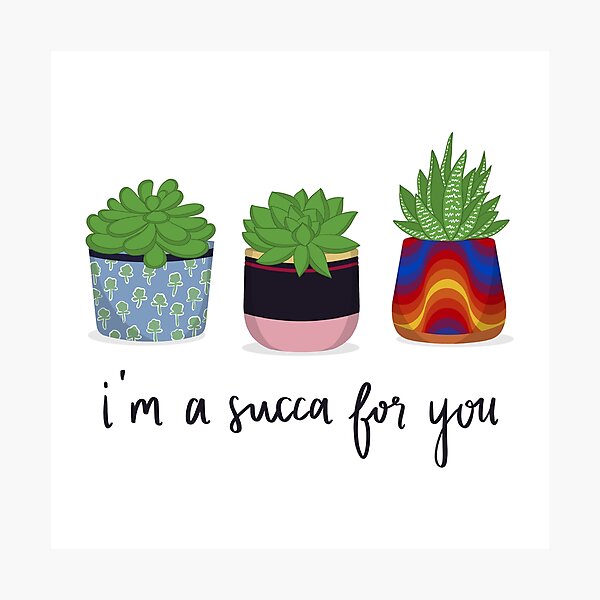 I'm A Succa For You Photographic Print
