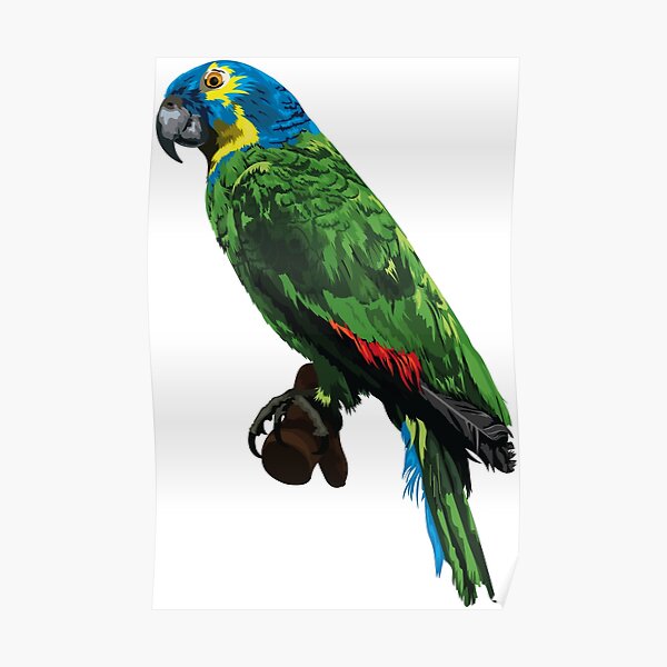 ""It is not only fine feathers that make fine birds..." Aesop" Poster