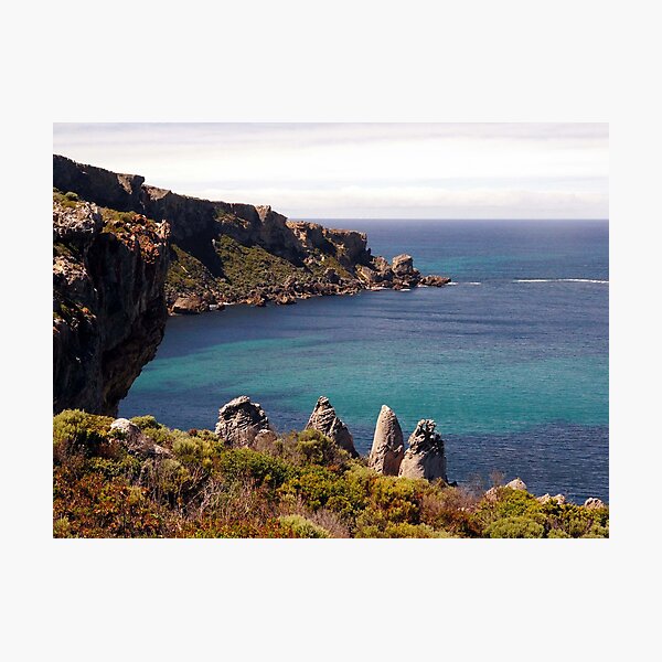 Item preview, Colourful vegetation on a rugged coastline designed and sold by georgieboy98.