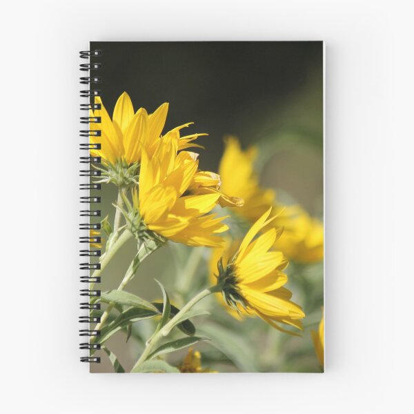 Item preview, Windblown Sunflowers  designed and sold by photoclique.