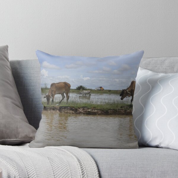 Item preview, Rice fields in Cambodia designed and sold by Melanie Simmonds.