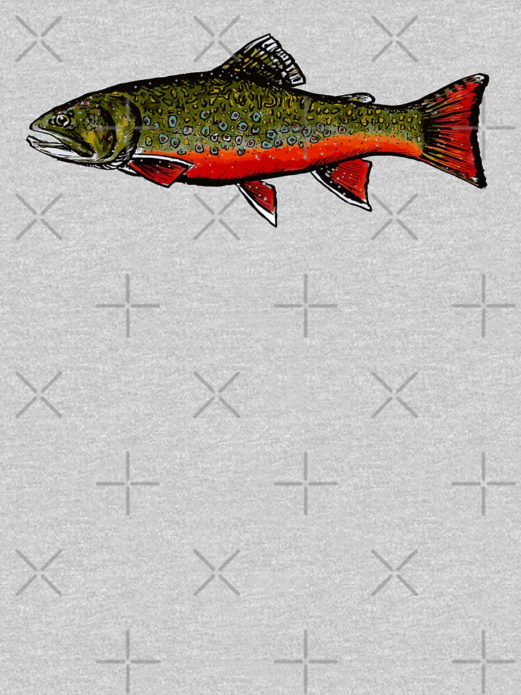 Brook Trout by Kathrynshaw