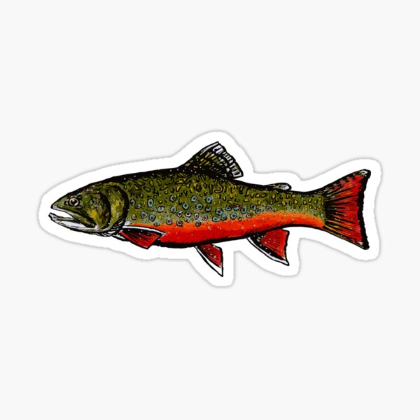 Fly Fishing Fisherman Trout Fish - Car Auto Window Vinyl Decal Sticker 04049