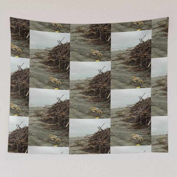 Item preview, Crab on the IOP designed and sold by MJDiesl.