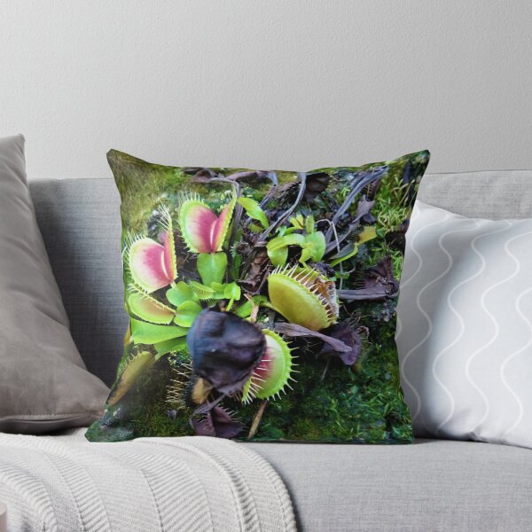 Item preview, Venus Flytrap designed and sold by CP-photography.