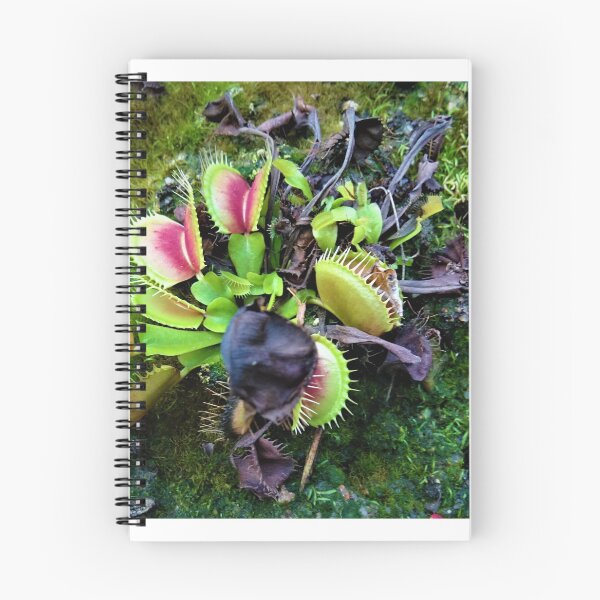 Item preview, Venus Flytrap designed and sold by CP-photography.