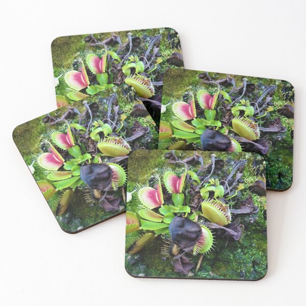 Item preview, Venus Flytrap designed and sold by CP-photography.