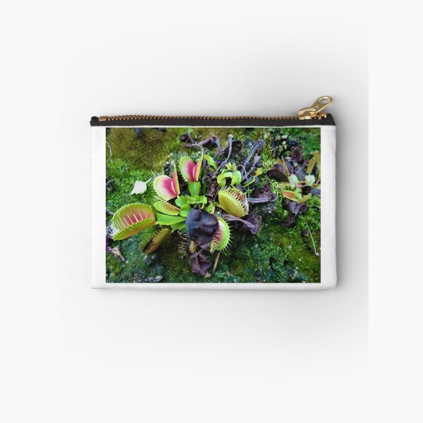 Item preview, Venus Flytrap designed and sold by CP-photography.
