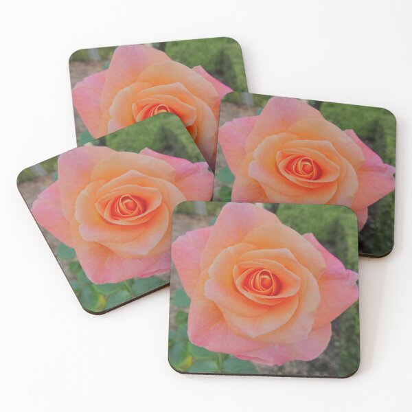 Item preview, Pink rose designed and sold by CP-photography.