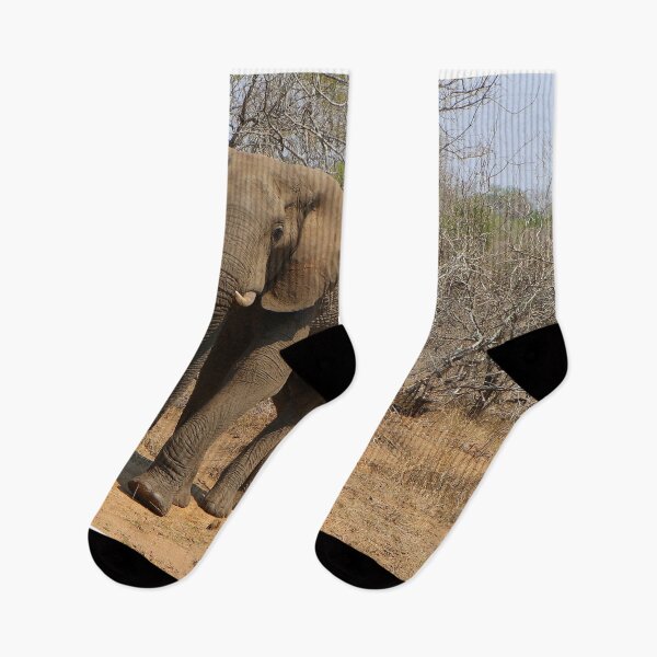 Item preview, African elephant in the game reserve, South Africa designed and sold by FranWest.