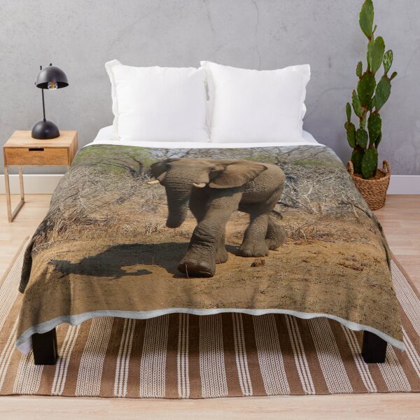 Item preview, African elephant in the game reserve, South Africa designed and sold by FranWest.