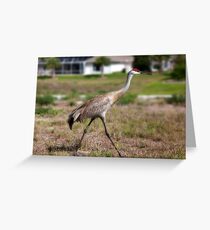 Visiter Greeting Card