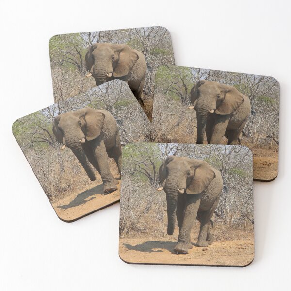 Item preview, African elephant in the game reserve, South Africa designed and sold by FranWest.