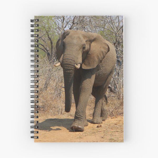 Item preview, African elephant in the game reserve, South Africa designed and sold by FranWest.