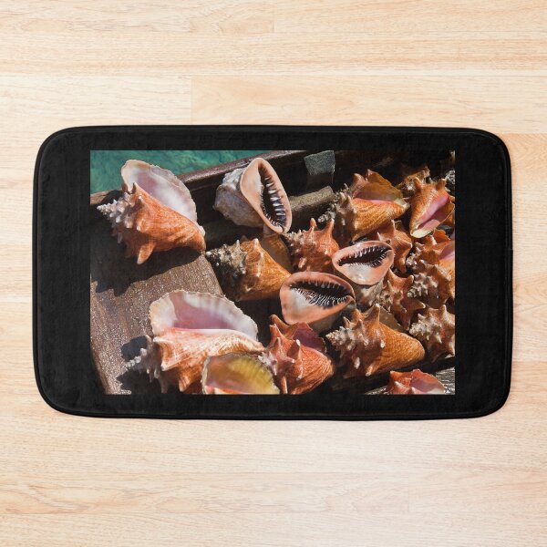 Item preview, Columbia. Rosario Islands. Shells. designed and sold by vadim19.