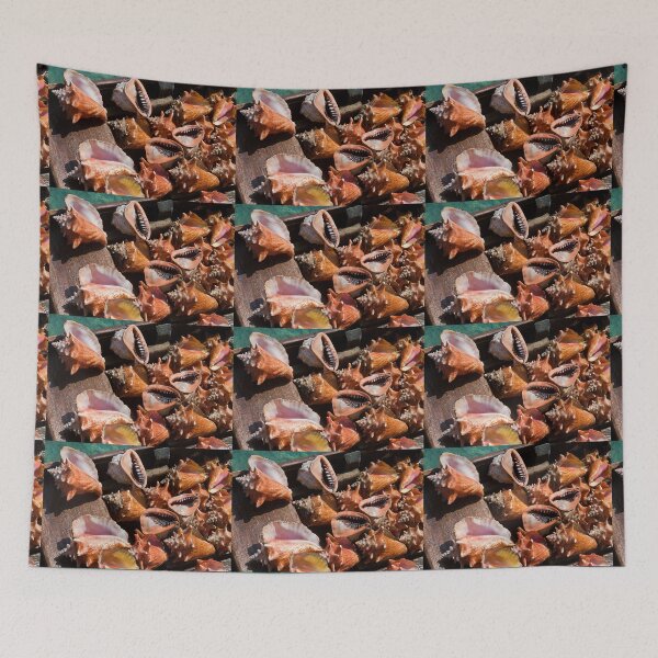 Item preview, Columbia. Rosario Islands. Shells. designed and sold by vadim19.