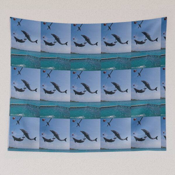Item preview, Columbia. Rosario Islands. Dolphin show. Jump. designed and sold by vadim19.
