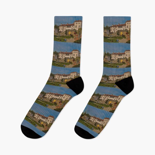 Item preview, USA. Florida. Miami.  Vizcaya Museum and Gardens. designed and sold by vadim19.
