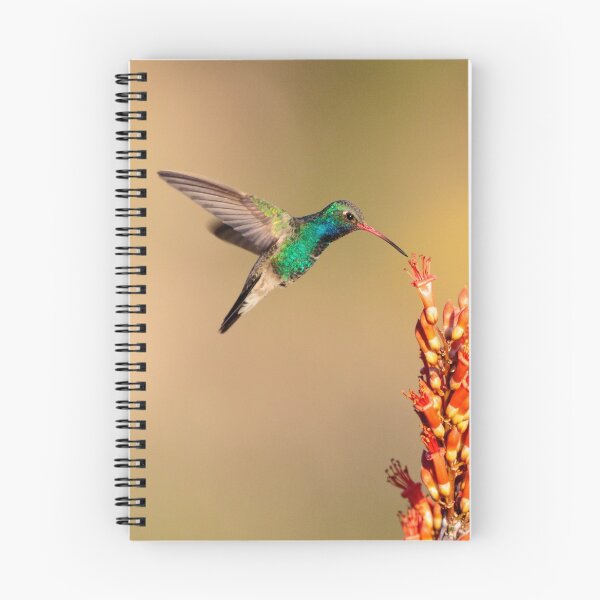 Item preview, Color-fest designed and sold by Tom Talbott.