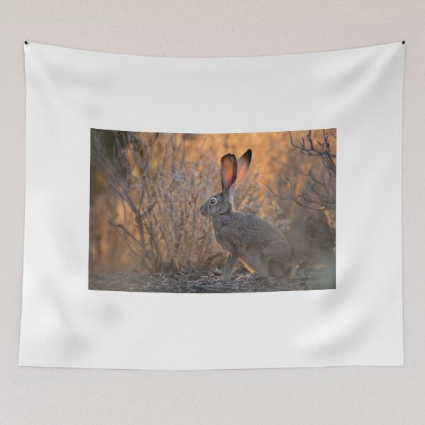 Item preview, Desert Morning Light designed and sold by Sue  Cullumber.