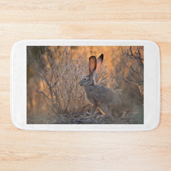 Item preview, Desert Morning Light designed and sold by Sue  Cullumber.