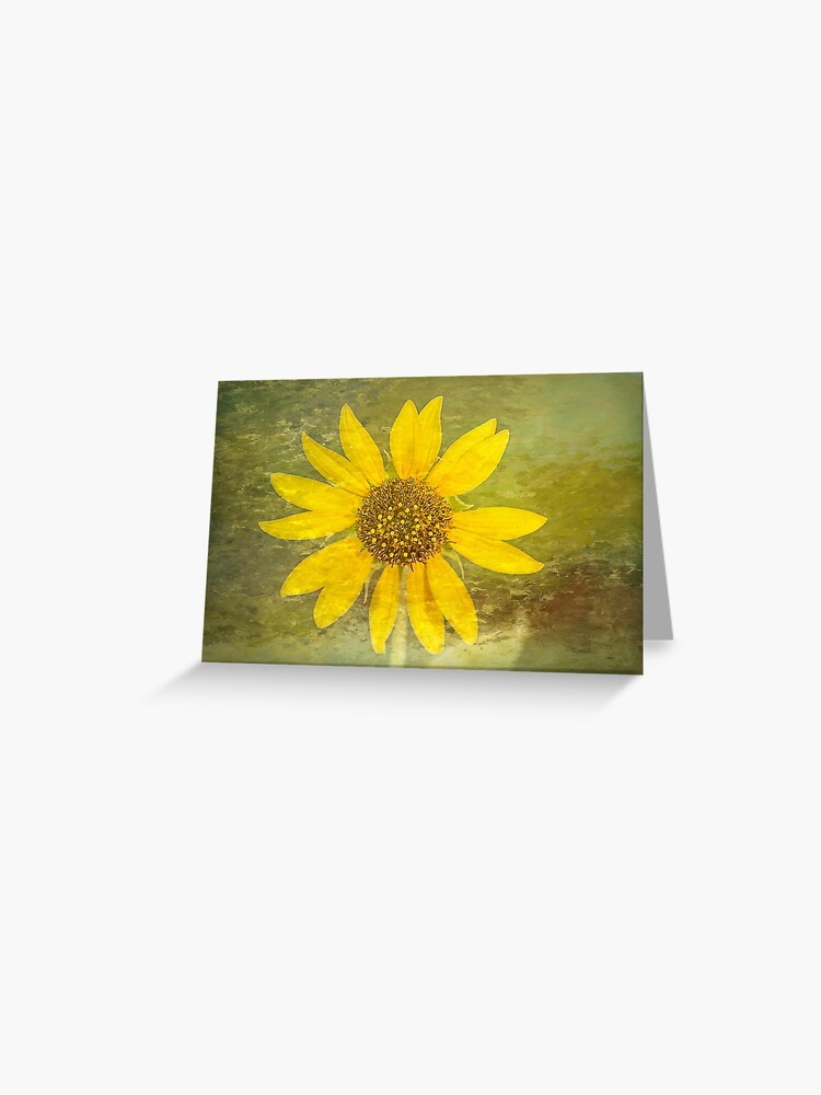 Tarjetas de felicitación «Girasol del desierto» de fineart2017 | Redbubble