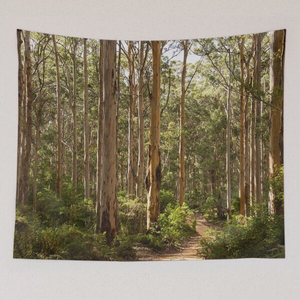 Item preview, Boranup Forest, Western Australia designed and sold by Life Images by Jill .