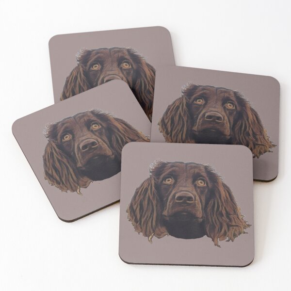 boykin spaniel gifts