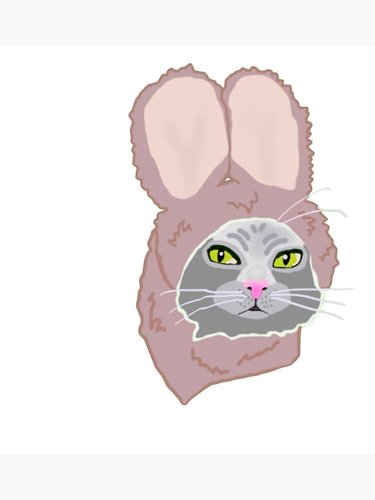 Cat in hotsell rabbit costume