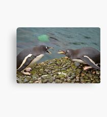 The Squabble! Canvas Print