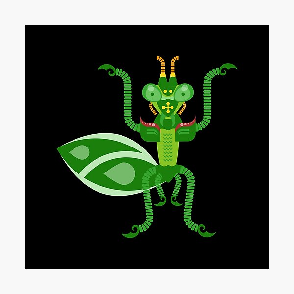 Mantis Photographic Print