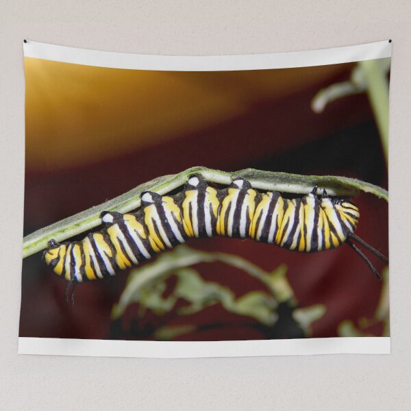 Item preview, yellow caterpillar designed and sold by Stephanie  Skeem.