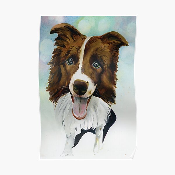 Border Collie - Good Boy Poster
