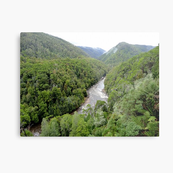 Franklin - Gordon Wild Rivers National Park, Tasmania Metal Print