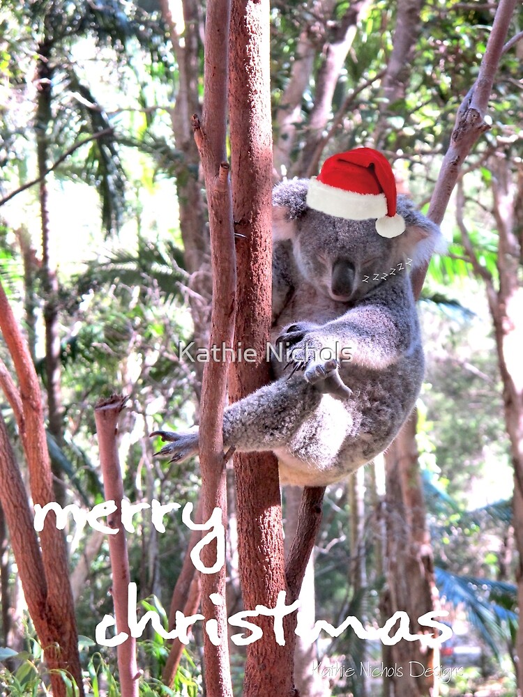 koala in christmas hat