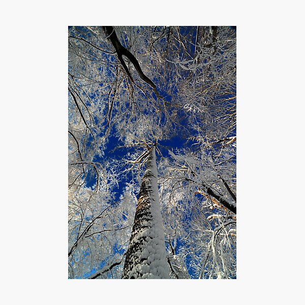 Reach Photographic Print