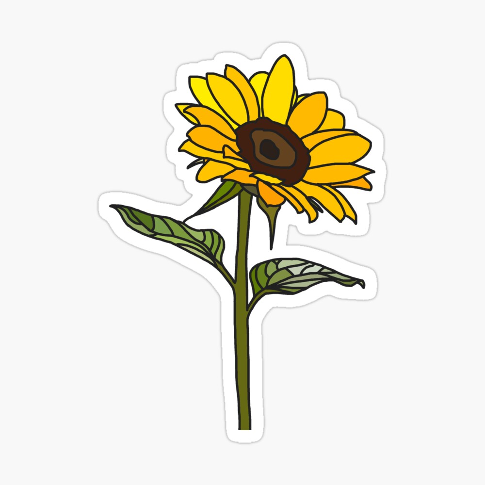 aesthetic sunflower on white photographic print by rocket to pluto redbubble
