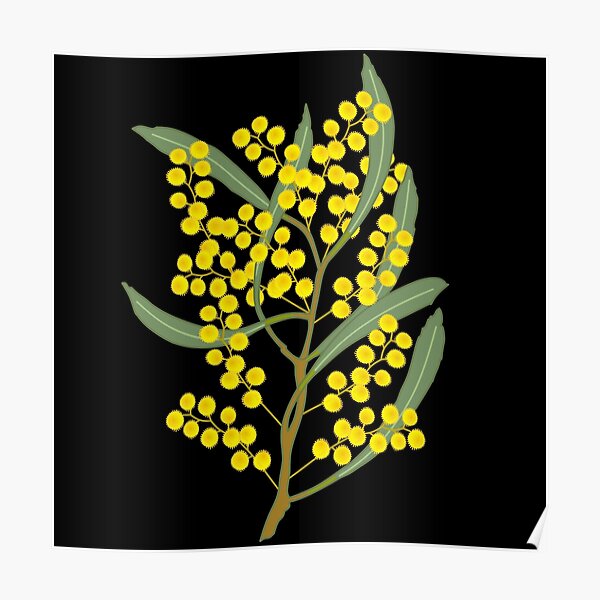 SHOP Australian Country Wattle Self-adhesive Fabric Wallpaper – Olive et  Oriel