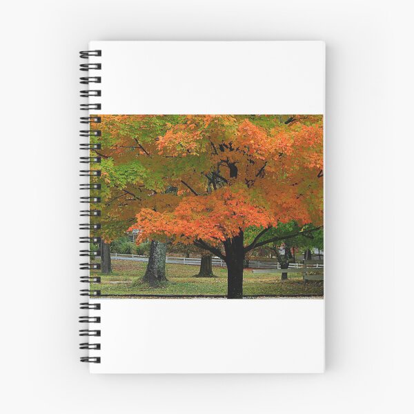 Item preview, Breathtaking  designed and sold by Brenda Burnett.